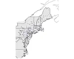 Streamflow flashiness trends